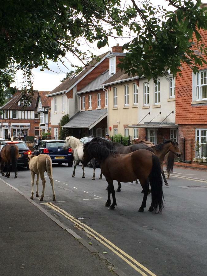 Brockenhurst Apartments Buitenkant foto